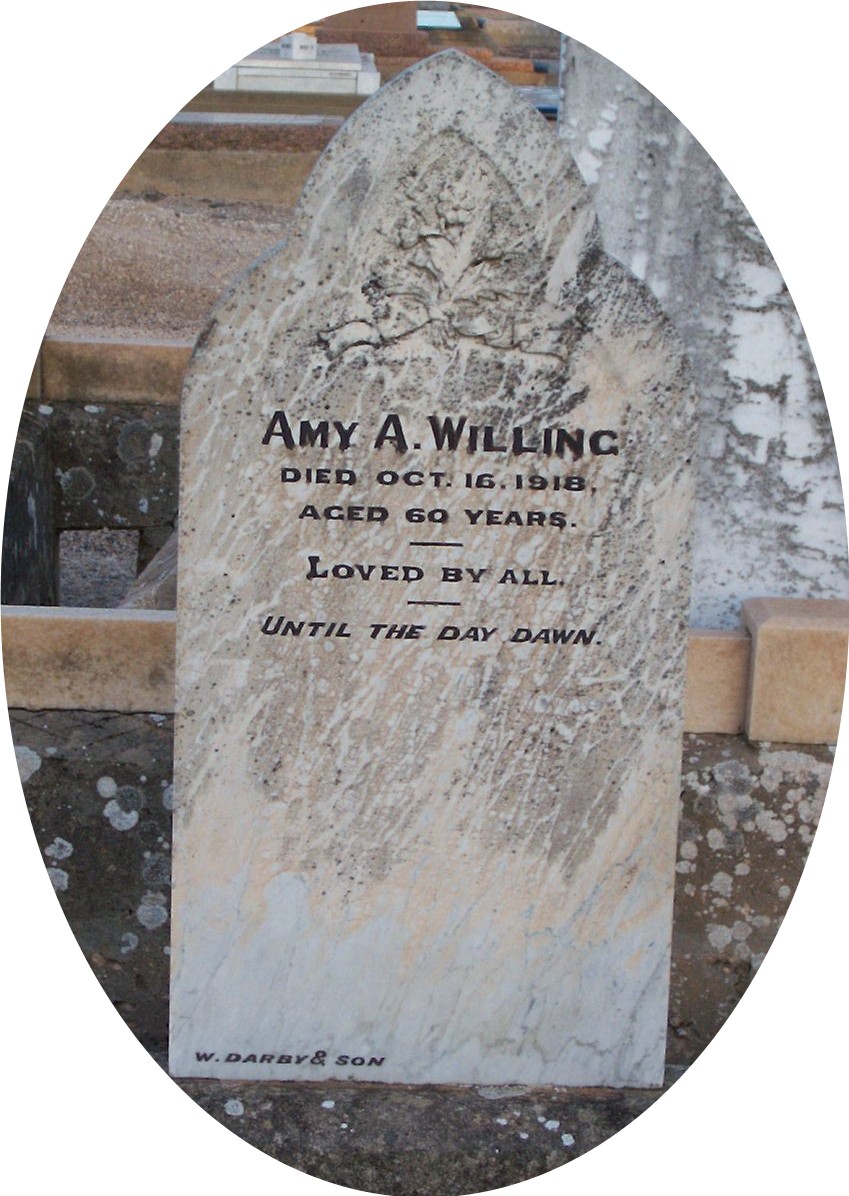 Amy adams willing